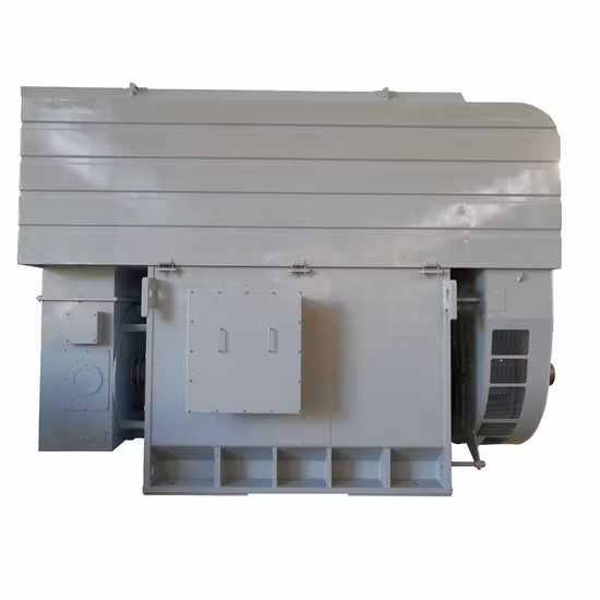 Large-Sized High Voltage Wound Rotor Slip Ring Motor